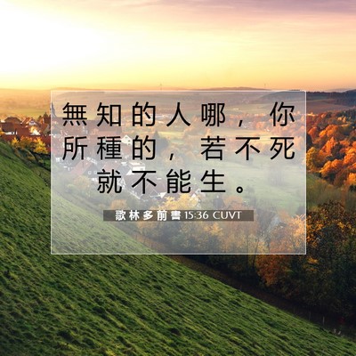 Picture 07 - 歌 林 多 前 書 15:36 CUVT - 無 知 的 人 哪 ， 你 所 種 的 ， 若 - Bible Verse Picture