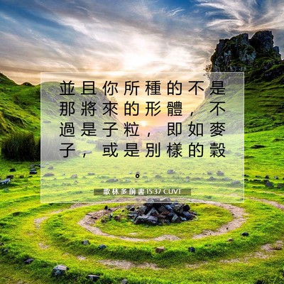 Picture 07 - 歌 林 多 前 書 15:37 CUVT - 並 且 你 所 種 的 不 是 那 將 來 的 - Bible Verse Picture