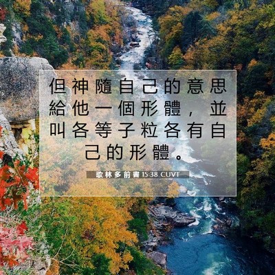 Picture 07 - 歌 林 多 前 書 15:38 CUVT - 但 神 隨 自 己 的 意 思 給 他 一 個 - Bible Verse Picture