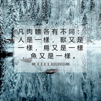 Picture 07 - 歌 林 多 前 書 15:39 CUVT - 凡 肉 體 各 有 不 同 ： 人 是 一 樣 - Bible Verse Picture