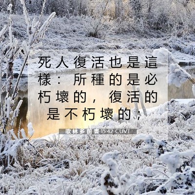 Picture 07 - 歌 林 多 前 書 15:42 CUVT - 死 人 復 活 也 是 這 樣 ： 所 種 的 - Bible Verse Picture