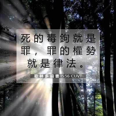 Picture 07 - 歌 林 多 前 書 15:56 CUVT - 死 的 毒 鉤 就 是 罪 ， 罪 的 權 勢 - Bible Verse Picture