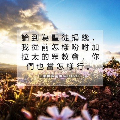 Picture 07 - 歌 林 多 前 書 16:1 CUVT - 論 到 為 聖 徒 捐 錢 ， 我 從 前 怎 - Bible Verse Picture