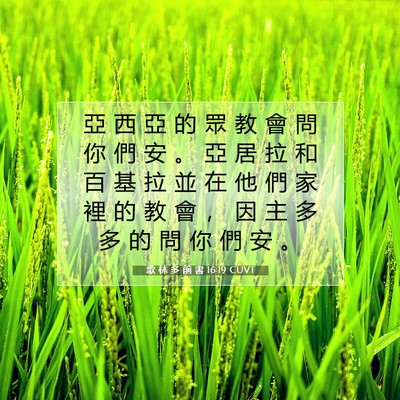 Picture 07 - 歌 林 多 前 書 16:19 CUVT - 亞 西 亞 的 眾 教 會 問 你 們 安 。 - Bible Verse Picture