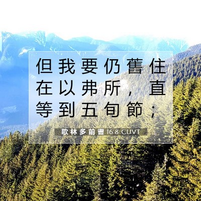Picture 07 - 歌 林 多 前 書 16:8 CUVT - 但 我 要 仍 舊 住 在 以 弗 所 ， 直 - Bible Verse Picture