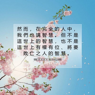 Picture 07 - 歌 林 多 前 書 2:6 CUVT - 然 而 ， 在 完 全 的 人 中 ， 我 們 - Bible Verse Picture