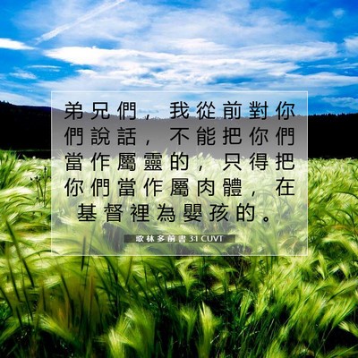 Picture 07 - 歌 林 多 前 書 3:1 CUVT - 弟 兄 們 ， 我 從 前 對 你 們 說 話 - Bible Verse Picture
