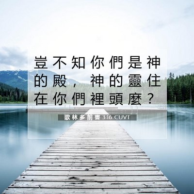 Picture 07 - 歌 林 多 前 書 3:16 CUVT - 豈 不 知 你 們 是 神 的 殿 ， 神 的 - Bible Verse Picture