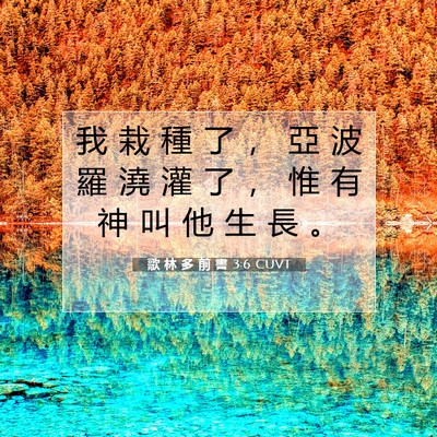 Picture 07 - 歌 林 多 前 書 3:6 CUVT - 我 栽 種 了 ， 亞 波 羅 澆 灌 了 ， - Bible Verse Picture