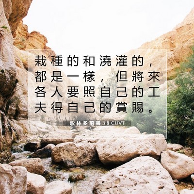 Picture 07 - 歌 林 多 前 書 3:8 CUVT - 栽 種 的 和 澆 灌 的 ， 都 是 一 樣 - Bible Verse Picture