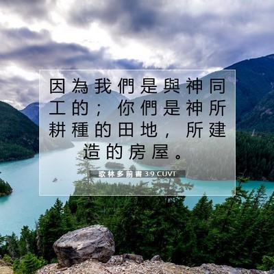 Picture 07 - 歌 林 多 前 書 3:9 CUVT - 因 為 我 們 是 與 神 同 工 的 ； 你 - Bible Verse Picture