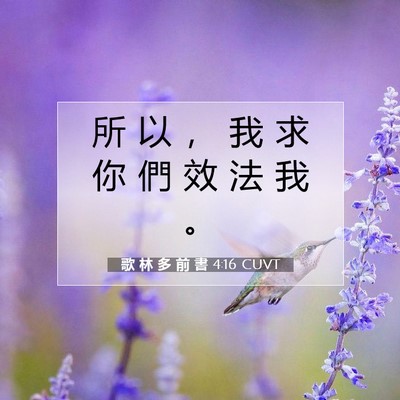 Picture 07 - 歌 林 多 前 書 4:16 CUVT - 所 以 ， 我 求 你 們 效 法 我 - Bible Verse Picture