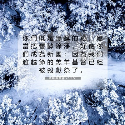 Picture 07 - 歌 林 多 前 書 5:7 CUVT - 你 們 既 是 無 酵 的 麵 ， 應 當 把 - Bible Verse Picture