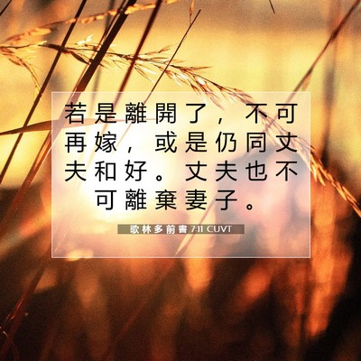 Picture 07 - 歌 林 多 前 書 7:11 CUVT - 若 是 離 開 了 ， 不 可 再 嫁 ， 或 - Bible Verse Picture
