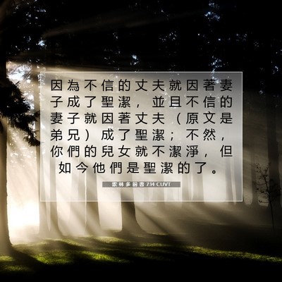 Picture 07 - 歌 林 多 前 書 7:14 CUVT - 因 為 不 信 的 丈 夫 就 因 著 妻 子 - Bible Verse Picture