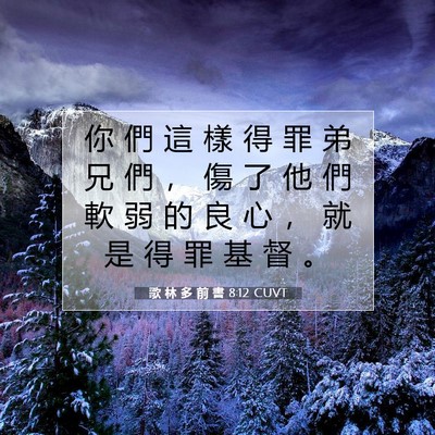 Picture 07 - 歌 林 多 前 書 8:12 CUVT - 你 們 這 樣 得 罪 弟 兄 們 ， 傷 了 - Bible Verse Picture