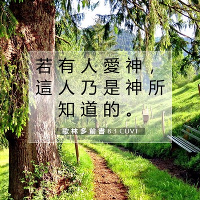 Picture 07 - 歌 林 多 前 書 8:3 CUVT - 若 有 人 愛 神 ， 這 人 乃 是 神 所 - Bible Verse Picture