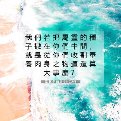 Picture 07 - 歌 林 多 前 書 9:11 CUVT - 我 們 若 把 屬 靈 的 種 子 撒 在 你 - Bible Verse Picture