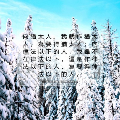 Picture 07 - 歌 林 多 前 書 9:20 CUVT - 向 猶 太 人 ， 我 就 作 猶 太 人 ， - Bible Verse Picture