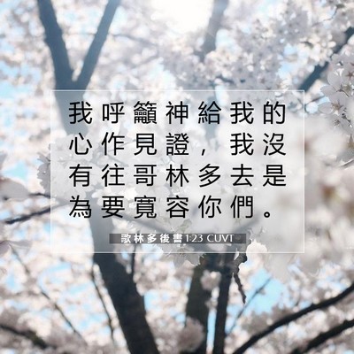 Picture 07 - 歌 林 多 後 書 1:23 CUVT - 我 呼 籲 神 給 我 的 心 作 見 證 ， - Bible Verse Picture
