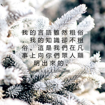 Picture 07 - 歌 林 多 後 書 11:6 CUVT - 我 的 言 語 雖 然 粗 俗 ， 我 的 知 - Bible Verse Picture