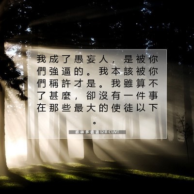 Picture 07 - 歌 林 多 後 書 12:11 CUVT - 我 成 了 愚 妄 人 ， 是 被 你 們 強 - Bible Verse Picture