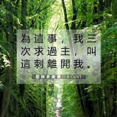 Picture 07 - 歌 林 多 後 書 12:8 CUVT - 為 這 事 ， 我 三 次 求 過 主 ， 叫 - Bible Verse Picture