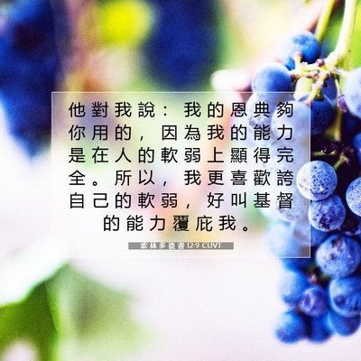 Picture 07 - 歌 林 多 後 書 12:9 CUVT - 他 對 我 說 ： 我 的 恩 典 夠 你 用 - Bible Verse Picture