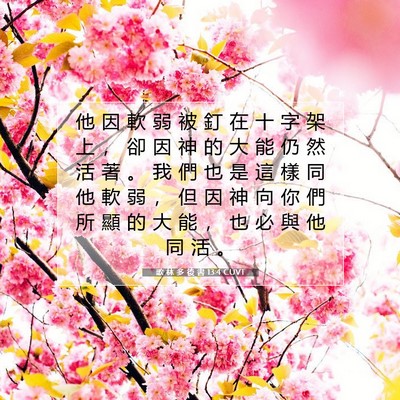 Picture 07 - 歌 林 多 後 書 13:4 CUVT - 他 因 軟 弱 被 釘 在 十 字 架 上 ， - Bible Verse Picture