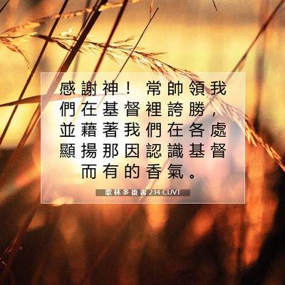 Picture 07 - 歌 林 多 後 書 2:14 CUVT - 感 謝 神 ！ 常 帥 領 我 們 在 基 督 - Bible Verse Picture