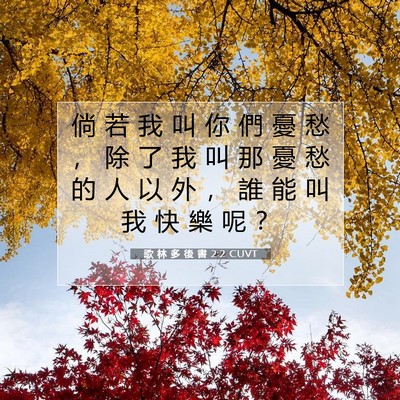 Picture 07 - 歌 林 多 後 書 2:2 CUVT - 倘 若 我 叫 你 們 憂 愁 ， 除 了 我 - Bible Verse Picture