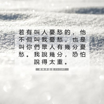 Picture 07 - 歌 林 多 後 書 2:5 CUVT - 若 有 叫 人 憂 愁 的 ， 他 不 但 叫 - Bible Verse Picture