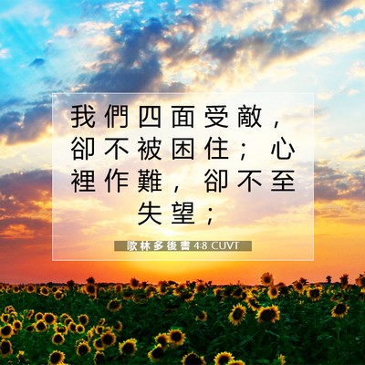 Picture 07 - 歌 林 多 後 書 4:8 CUVT - 我 們 四 面 受 敵 ， 卻 不 被 困 住 - Bible Verse Picture