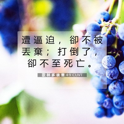 Picture 07 - 歌 林 多 後 書 4:9 CUVT - 遭 逼 迫 ， 卻 不 被 丟 棄 ； 打 倒 - Bible Verse Picture