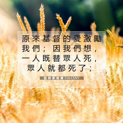 Picture 07 - 歌 林 多 後 書 5:14 CUVT - 原 來 基 督 的 愛 激 勵 我 們 ； 因 - Bible Verse Picture