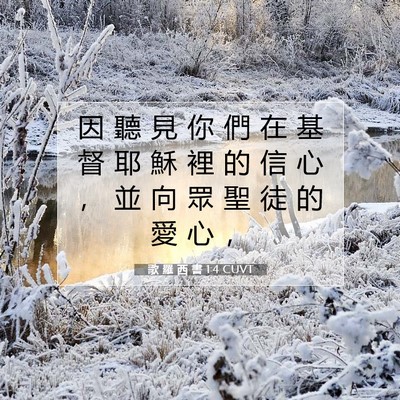 Picture 07 - 歌 羅 西 書 1:4 CUVT - 因 聽 見 你 們 在 基 督 耶 穌 裡 的 - Bible Verse Picture