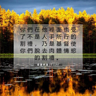 Picture 07 - 歌 羅 西 書 2:11 CUVT - 你 們 在 他 裡 面 也 受 了 不 是 人 - Bible Verse Picture