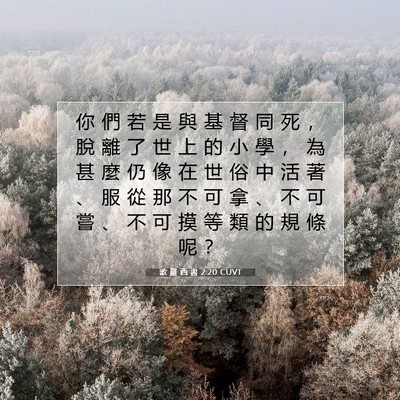 Picture 07 - 歌 羅 西 書 2:20 CUVT - 你 們 若 是 與 基 督 同 死 ， 脫 離 - Bible Verse Picture