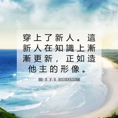 Picture 07 - 歌 羅 西 書 3:10 CUVT - 穿 上 了 新 人 。 這 新 人 在 知 識 - Bible Verse Picture