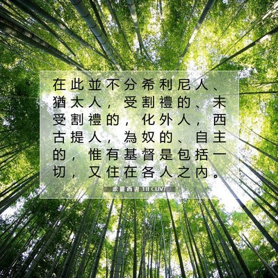 Picture 07 - 歌 羅 西 書 3:11 CUVT - 在 此 並 不 分 希 利 尼 人 、 猶 太 - Bible Verse Picture