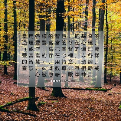 Picture 07 - 歌 羅 西 書 3:16 CUVT - 當 用 各 樣 的 智 慧 ， 把 基 督 的 - Bible Verse Picture