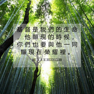Picture 07 - 歌 羅 西 書 3:4 CUVT - 基 督 是 我 們 的 生 命 ， 他 顯 現 - Bible Verse Picture