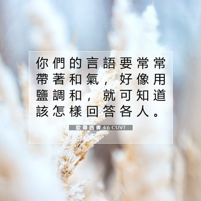 Picture 07 - 歌 羅 西 書 4:6 CUVT - 你 們 的 言 語 要 常 常 帶 著 和 氣 - Bible Verse Picture