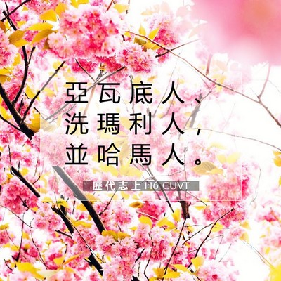 Picture 07 - 歷 代 志 上 1:16 CUVT - 亞 瓦 底 人 、 洗 瑪 利 人 ， 並 哈 - Bible Verse Picture