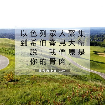 Picture 07 - 歷 代 志 上 11:1 CUVT - 以 色 列 眾 人 聚 集 到 希 伯 崙 見 - Bible Verse Picture