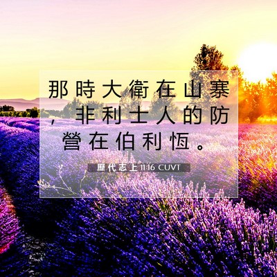 Picture 07 - 歷 代 志 上 11:16 CUVT - 那 時 大 衛 在 山 寨 ， 非 利 士 人 - Bible Verse Picture