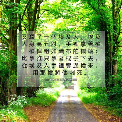 Picture 07 - 歷 代 志 上 11:23 CUVT - 又 殺 了 一 個 埃 及 人 。 埃 及 人 - Bible Verse Picture