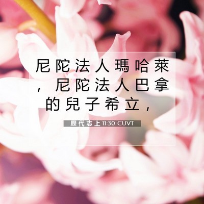 Picture 07 - 歷 代 志 上 11:30 CUVT - 尼 陀 法 人 瑪 哈 萊 ， 尼 陀 法 人 - Bible Verse Picture