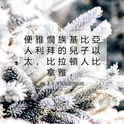 Picture 07 - 歷 代 志 上 11:31 CUVT - 便 雅 憫 族 基 比 亞 人 利 拜 的 兒 - Bible Verse Picture