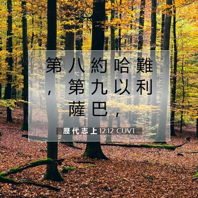 Picture 07 - 歷 代 志 上 12:12 CUVT - 第 八 約 哈 難 ， 第 九 以 利 薩 巴 - Bible Verse Picture